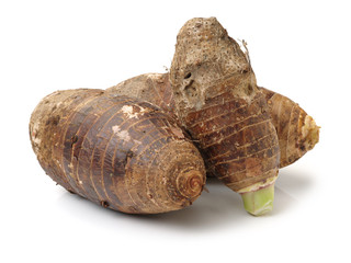 Taro on a white background