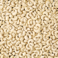 Cashews nut background