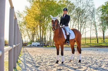 Girl equestrian rider riding a beautiful horse  in the rays of the setting sun. Horse theme