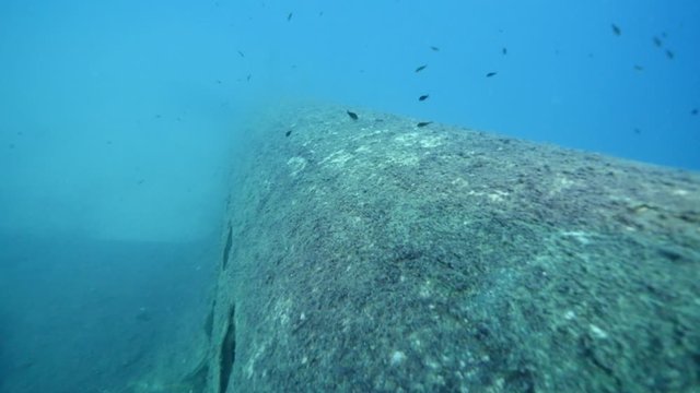 exploring underwater air plane wreck fish around ocean scenery of airplane for scuba divers to discover