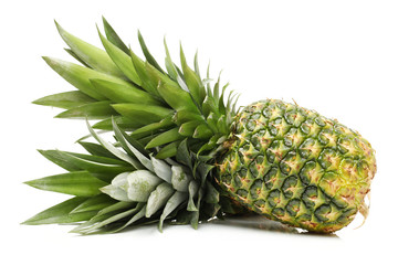Fototapeta premium green pineapple on white background.