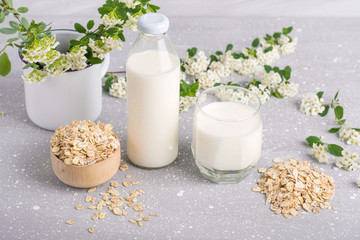vegan organic oat milk, gluten free, top view. Milk drink milk replacer, proper nutrition.