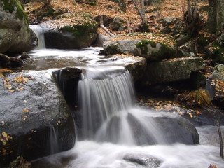Waterfalls with movement effect in a river with the banks covered with dry leaves in autumn. Sierra de Canencia, Madrid, Spain.
