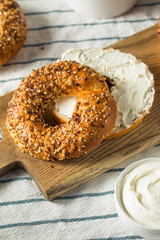 Homemade Toasted Everything New York Bagel