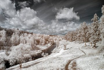 Infrared photography. Surreal landscape, forest river surrounded by amazing, beautiful trees, our...