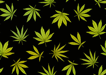 Cannabis leaves seamless pattern, background. Vector illustration in green colors Isolated on black background.
