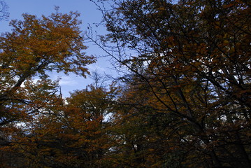 Parque nacional los glaciares patagonia argentina