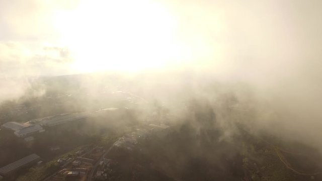 Aerial view of beautiful scenery Cau Dat Tea Hill in Dalat, Lam Dong, Vietnam