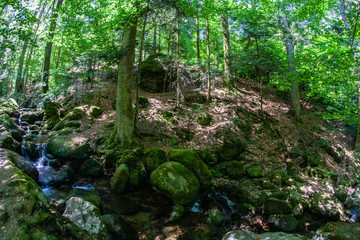 Gertelsbacher Wasserfälle 6