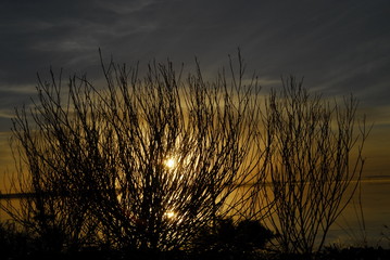 atardecer sol