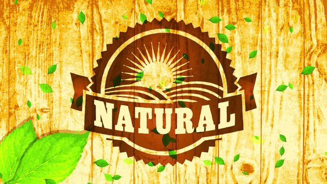 natural vegan food partnership mark concept with wood engraving style on polished background and foliage decorate