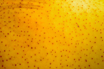 texture of a yellow pear skin