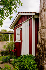 A small red shed with white window frames, a gardenhouse in a beautiful wild garden 