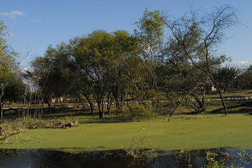 Obraz premium inundacion santiago del estero