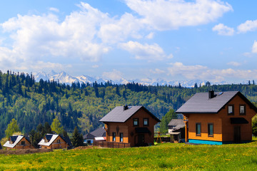 Wooden houses on green meadow at Czorsztynskie lake near Falsztyn village on sunny spring day, Pieniny Mountains, Poland