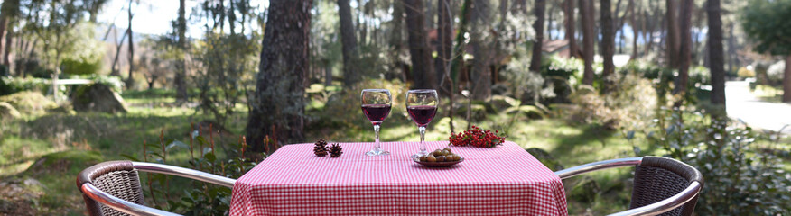 Panoramic background with table, tablecloth and two glasses of wine, rural tourism concept..