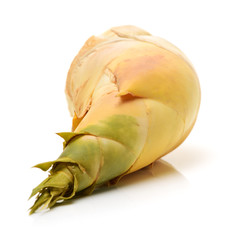 Fototapeta premium Bamboo shoot on the white background