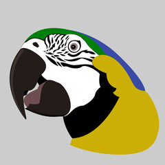 Illustration of a parrot