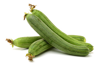 fresh loofah on the white background 