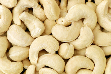 Cashews nut background