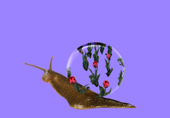 Snail on a plain background. Snail in the flowers. Spring art