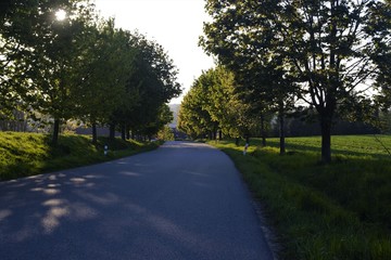 Evening rural road