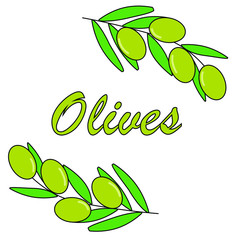 tasty green olives with leaves isolated on white background. olive branch vector illustration with lettering. frame pattern