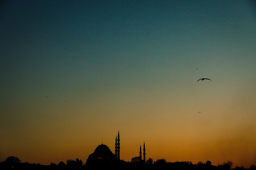 Fototapeta na wymiar city silhouette Istanbul