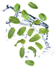 Fototapeta na wymiar Set of flying green mint leaves with splash of water on white background