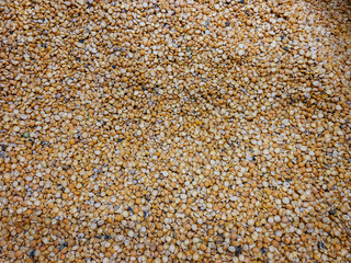 Pea grains in red plan in the container. Healthy food, vegetarianism