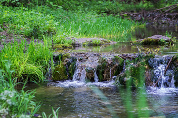 Clean mountain river in the green grass in summer