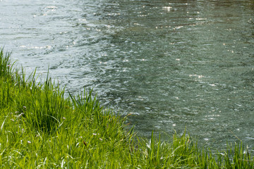 Altrhein, Rhein Aue Fluß Landschaft bei Iffezheim