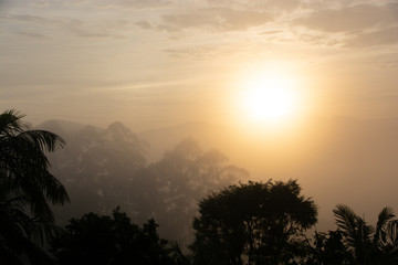 Nascer do sol com neblina e árvores