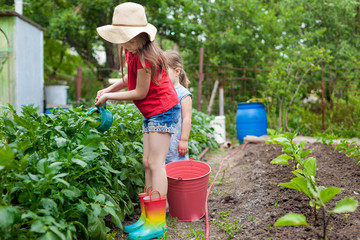 A little cute baby girl 5 or 6 years old  watering the plants from a watering can in the garden. Kids having fun gardening  on a bright sunny day. Outdoor activity children
