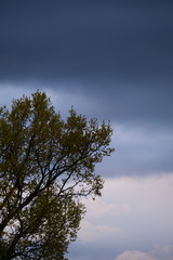 Sky air clouds Blue rain