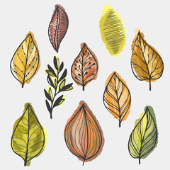 Obraz premium Hand drawn colorful early spring leaves leaves set