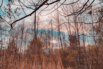 Obraz premium Nature photograpy 