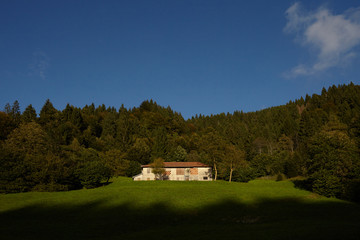 Obraz premium House in wood on sunny day