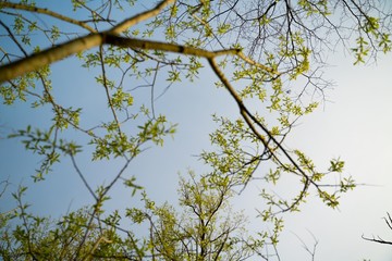 Nature photograpy 
