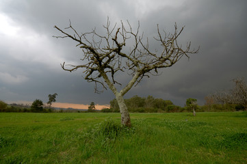 día de tormenta en el campo