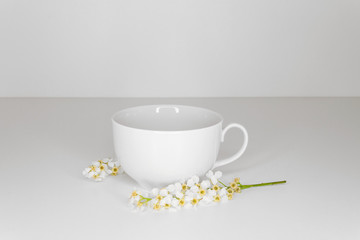 White cup with bird-cherry blossoms on white background. Side view