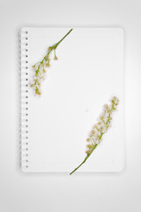 Blank spiral notepad with bird cherry flowers on white background