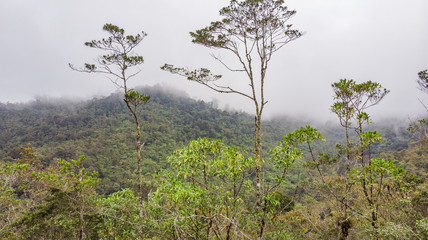 Obraz premium Foggy forest in with waterfall aerial view