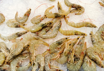 
fresh prawns on ice in a supermarket window