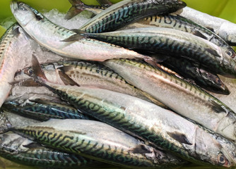 
Fresh trout. seafood, fish, fishing, healthy lifestyle, cooking, fish dishes, supermarket