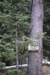 Posted: No Trespassing