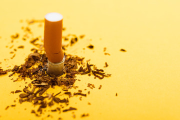 31 May of World No Tobacco Day, no smoking, close up of broken pile pin down cigarette or tobacco on yellow background with copy space, and Warning lung health concept
