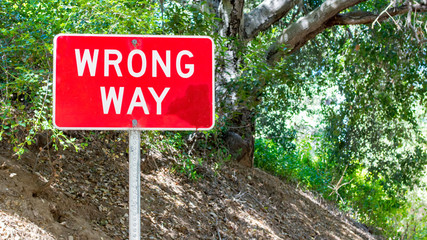 a red and white metal road sign saying "Wrong Way" on a lush green forest hillside with copy space