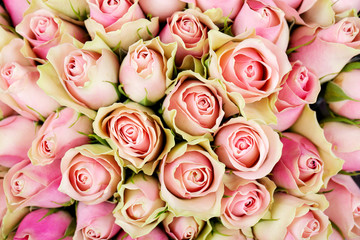 Bright background of natural pink and yellow roses. Delivery flowers.