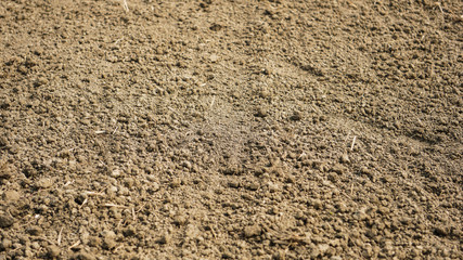 Soil - Texture (Sand, Silt, Clay Composition). Fertile loam soil suitable for planting, soil...